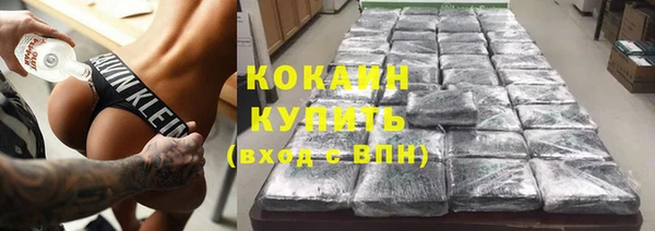 ГАЛЛЮЦИНОГЕННЫЕ ГРИБЫ Лагань