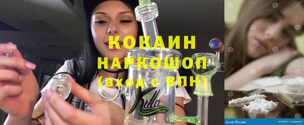 ГАЛЛЮЦИНОГЕННЫЕ ГРИБЫ Лагань