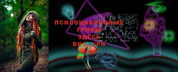 ГАЛЛЮЦИНОГЕННЫЕ ГРИБЫ Лагань