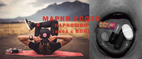 ГАЛЛЮЦИНОГЕННЫЕ ГРИБЫ Лагань