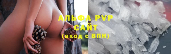 стафф Лабытнанги