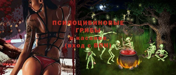 ГАЛЛЮЦИНОГЕННЫЕ ГРИБЫ Лагань