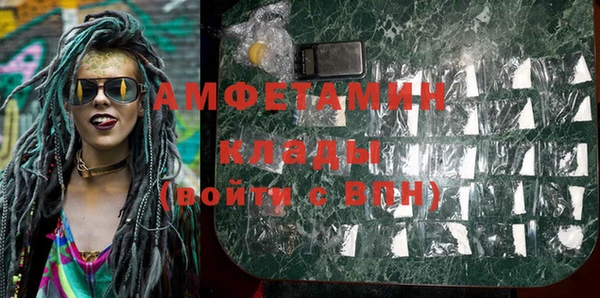 ГАЛЛЮЦИНОГЕННЫЕ ГРИБЫ Лагань