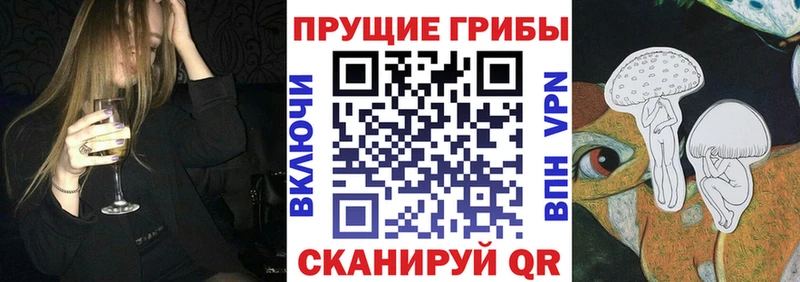 Галлюциногенные грибы Magic Shrooms  Купить  Кизилюрт 